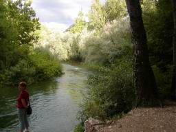 Resize of P1010203.JPG